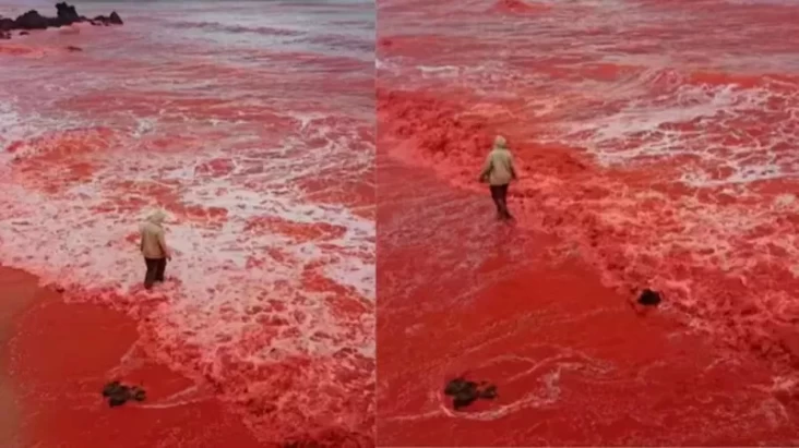 Pantai di tempat pada Iran Tiba-tiba Berubah Warna Menjadi Merah Darah