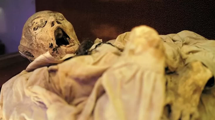 Patogen Misterius yang dimaksud Dikaitkan dengan Kutukan Mumi Terkuak