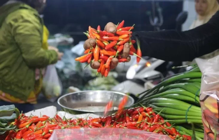 Update Harga Pangan Mingguan 9 Maret 2025, Bawang, Cabai juga Beras Masih Naik