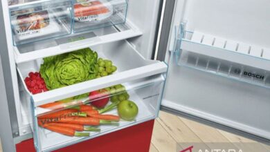 Sederet makanan yang digunakan mana sebaiknya tak disimpan dalam “freezer”
