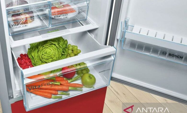Sederet makanan yang digunakan mana sebaiknya tak disimpan dalam “freezer”