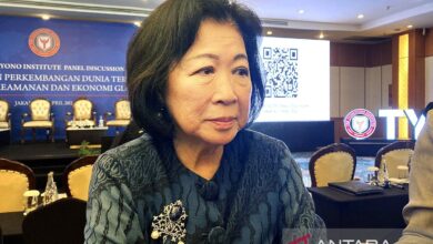 Wakil Ketua DEN menasihati RI juga bernegosiasi dengan China