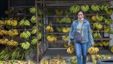 Tips simpan pisang agar bukanlah cepat hitam juga lembek