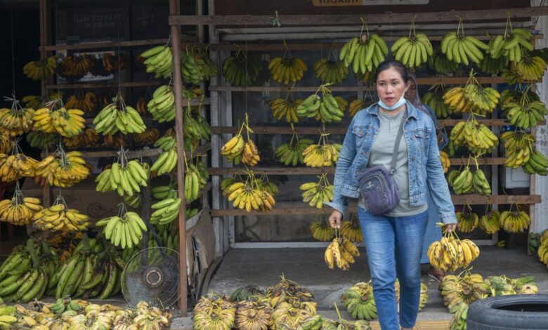 Tips simpan pisang agar bukanlah cepat hitam juga lembek