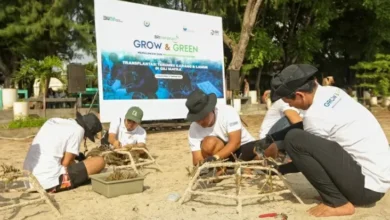 BRI Menanam Grow & Green Transplantasi Terumbu Karang, Selamatkan Ekosistem Laut di area di NTB