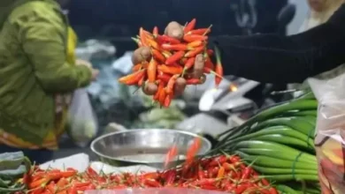 Harga Cabai Rawit Merah Tembus Rp100.000 per Kg, Wamendag Salahkan Cuaca