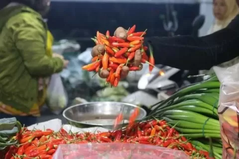 Harga Cabai Rawit Merah Tembus Rp100.000 per Kg, Wamendag Salahkan Cuaca