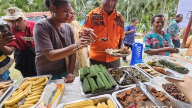 Menyukseskan inisiatif MBG melalui penguatan pangan lokal ke Papua
